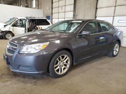 Salvage cars for sale at Blaine, MN auction: 2013 Chevrolet Malibu 1LT