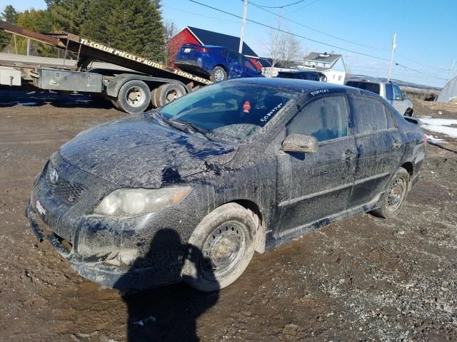 2010 Toyota Corolla Base