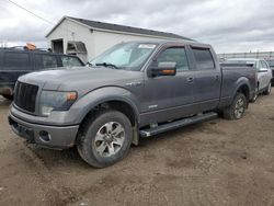 2013 Ford F150 Supercrew en venta en Portland, MI