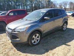 Salvage cars for sale at North Billerica, MA auction: 2014 Ford Escape SE