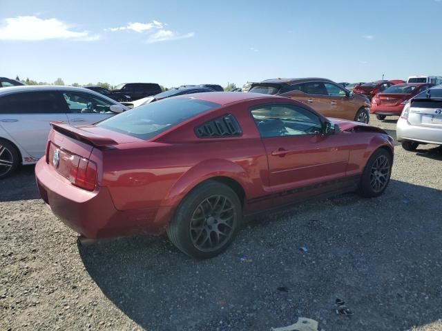 2005 Ford Mustang