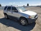 2004 Ford Escape XLT