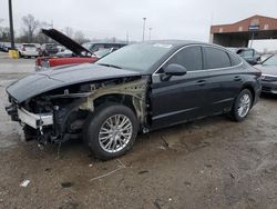 Salvage cars for sale at Fort Wayne, IN auction: 2021 Hyundai Sonata SE