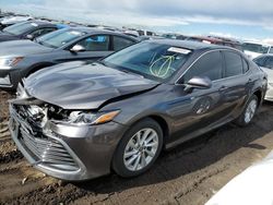 Salvage cars for sale from Copart Brighton, CO: 2023 Toyota Camry LE