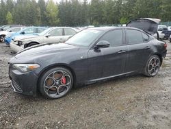 Vehiculos salvage en venta de Copart Graham, WA: 2022 Alfa Romeo Giulia Super