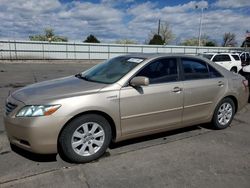 2008 Toyota Camry Hybrid for sale in Littleton, CO