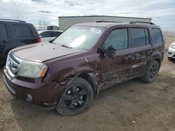 Salvage cars for sale from Copart Rocky View County, AB: 2009 Honda Pilot EX