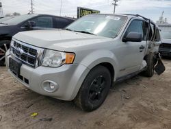 Salvage cars for sale at Chicago Heights, IL auction: 2008 Ford Escape XLT