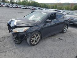 Ford Focus salvage cars for sale: 2014 Ford Focus SE