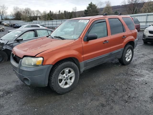 2006 Ford Escape XLT