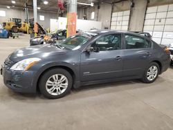 Nissan Vehiculos salvage en venta: 2010 Nissan Altima Hybrid