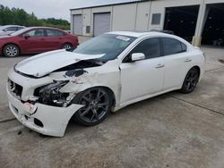 Nissan Maxima S salvage cars for sale: 2013 Nissan Maxima S