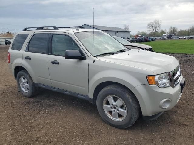 2009 Ford Escape XLT