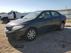 Vehiculos salvage en venta de Copart Bakersfield, CA: 2010 Toyota Corolla Base