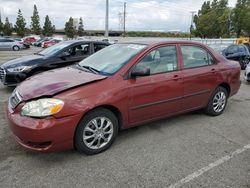 Vehiculos salvage en venta de Copart Rancho Cucamonga, CA: 2007 Toyota Corolla CE