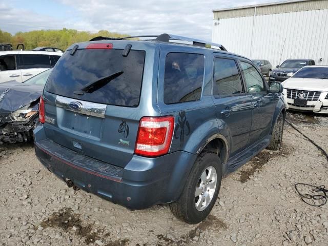 2011 Ford Escape Limited