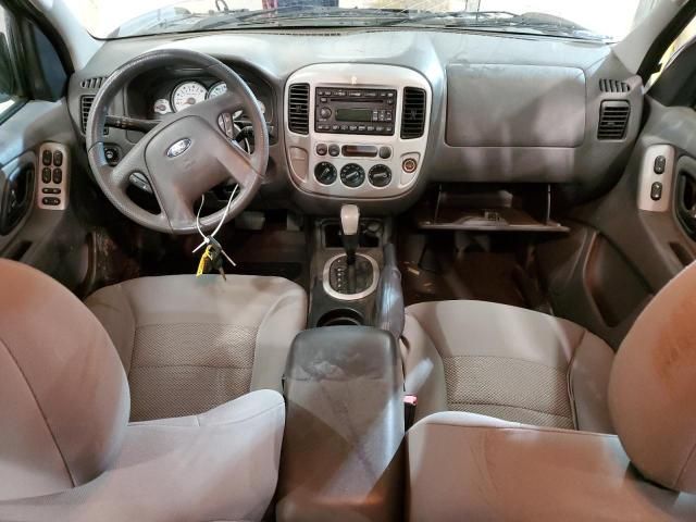 2007 Ford Escape XLT