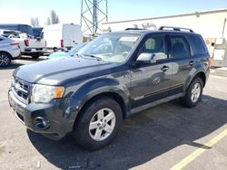 Ford Escape HEV Vehiculos salvage en venta: 2008 Ford Escape HEV