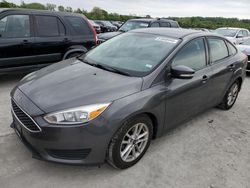 Ford Focus salvage cars for sale: 2015 Ford Focus SE