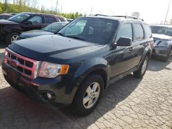 Salvage cars for sale at Bridgeton, MO auction: 2009 Ford Escape XLT