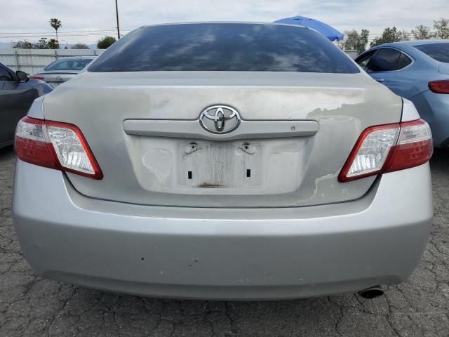 2009 Toyota Camry Hybrid