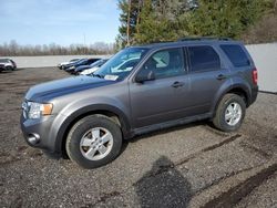 Salvage cars for sale from Copart Bowmanville, ON: 2009 Ford Escape XLT