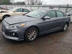 Salvage cars for sale from Copart Finksburg, MD: 2019 Hyundai Sonata SE