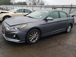 Salvage cars for sale at Finksburg, MD auction: 2019 Hyundai Sonata SE