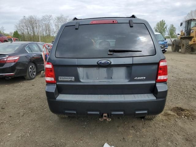 2008 Ford Escape XLT