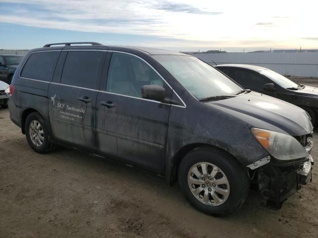 2008 Honda Odyssey EXL