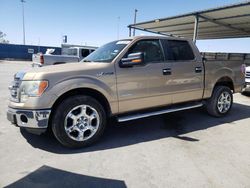 Salvage cars for sale at Anthony, TX auction: 2013 Ford F150 Supercrew