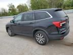 2019 Honda Pilot EXL