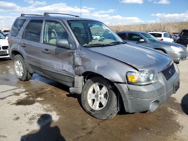 2007 Ford Escape XLT