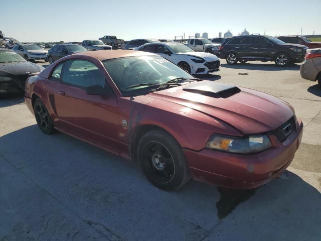 2004 Ford Mustang