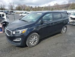 KIA Sedona LX Vehiculos salvage en venta: 2021 KIA Sedona LX