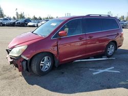 Vehiculos salvage en venta de Copart Rancho Cucamonga, CA: 2006 Honda Odyssey EXL