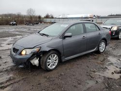 Salvage cars for sale at Columbia Station, OH auction: 2009 Toyota Corolla Base