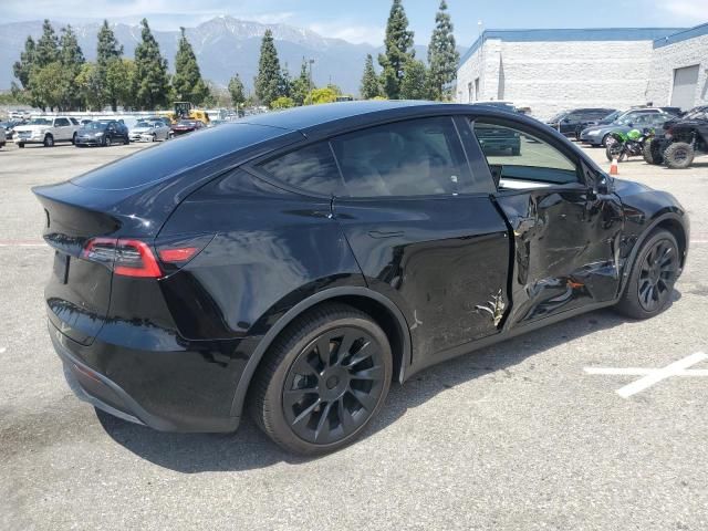 2020 Tesla Model Y