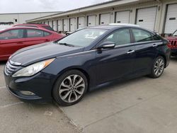 Salvage cars for sale at Louisville, KY auction: 2014 Hyundai Sonata SE