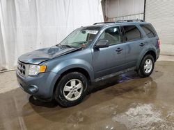 Ford Escape XLT salvage cars for sale: 2010 Ford Escape XLT