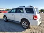 2008 Ford Escape Limited