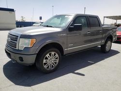 Salvage trucks for sale at Anthony, TX auction: 2011 Ford F150 Supercrew