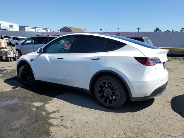 2020 Tesla Model Y