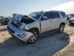 Salvage cars for sale at Haslet, TX auction: 2015 Cadillac Escalade Luxury
