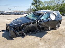 Salvage cars for sale at auction: 2024 Lexus NX 350H Base