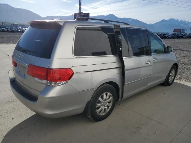 2008 Honda Odyssey EXL