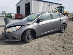 Salvage cars for sale from Copart Airway Heights, WA: 2014 Ford Focus SE