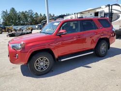 Salvage cars for sale from Copart Eldridge, IA: 2019 Toyota 4runner SR5