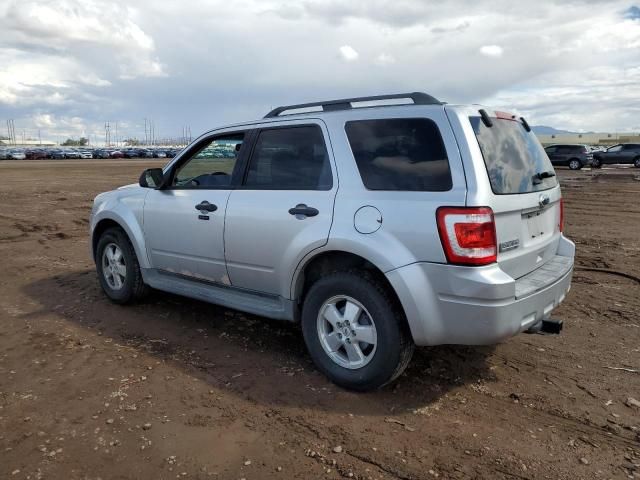 2011 Ford Escape XLT