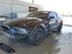 Salvage cars for sale at West Palm Beach, FL auction: 2013 Ford Mustang